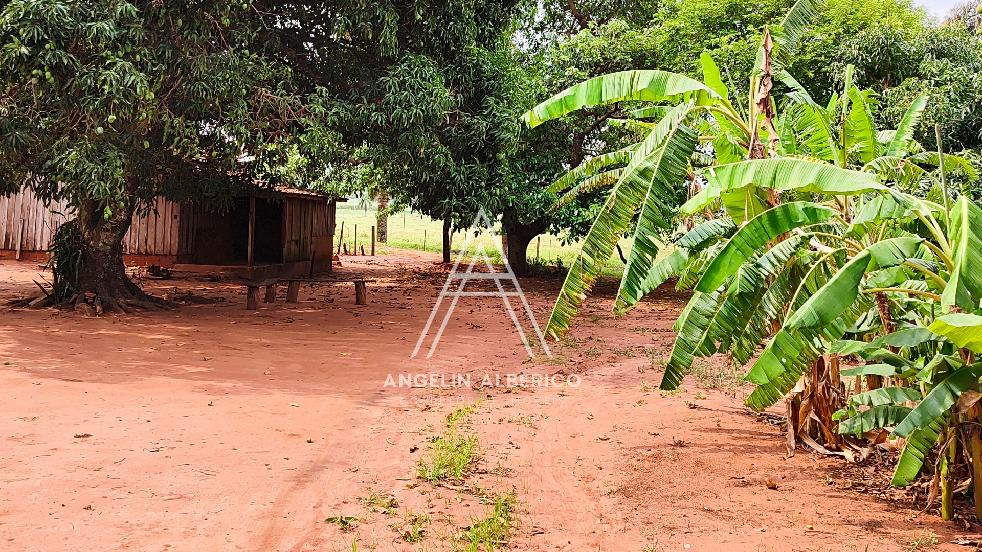 Chácara a Venda em Cianorte-PR
