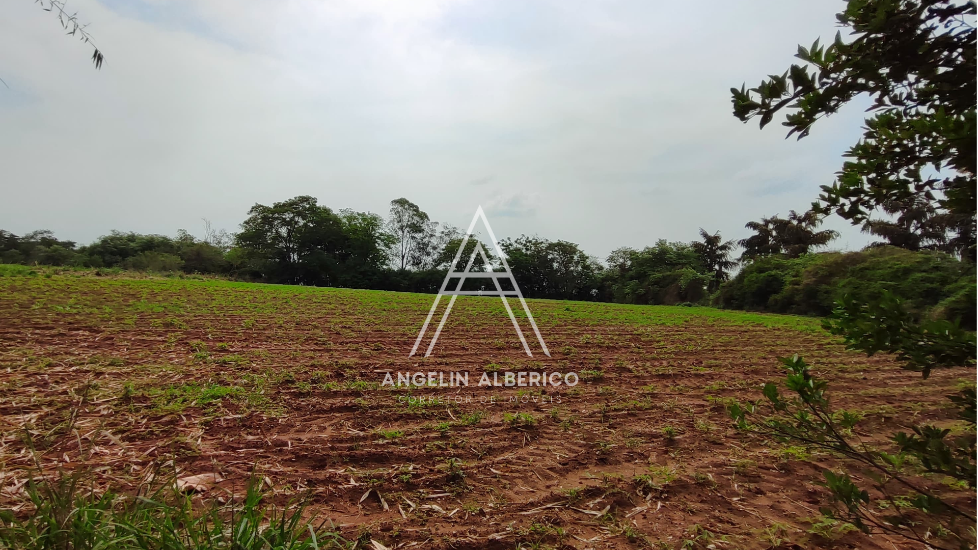 Chácara a Venda em Cianorte-PR