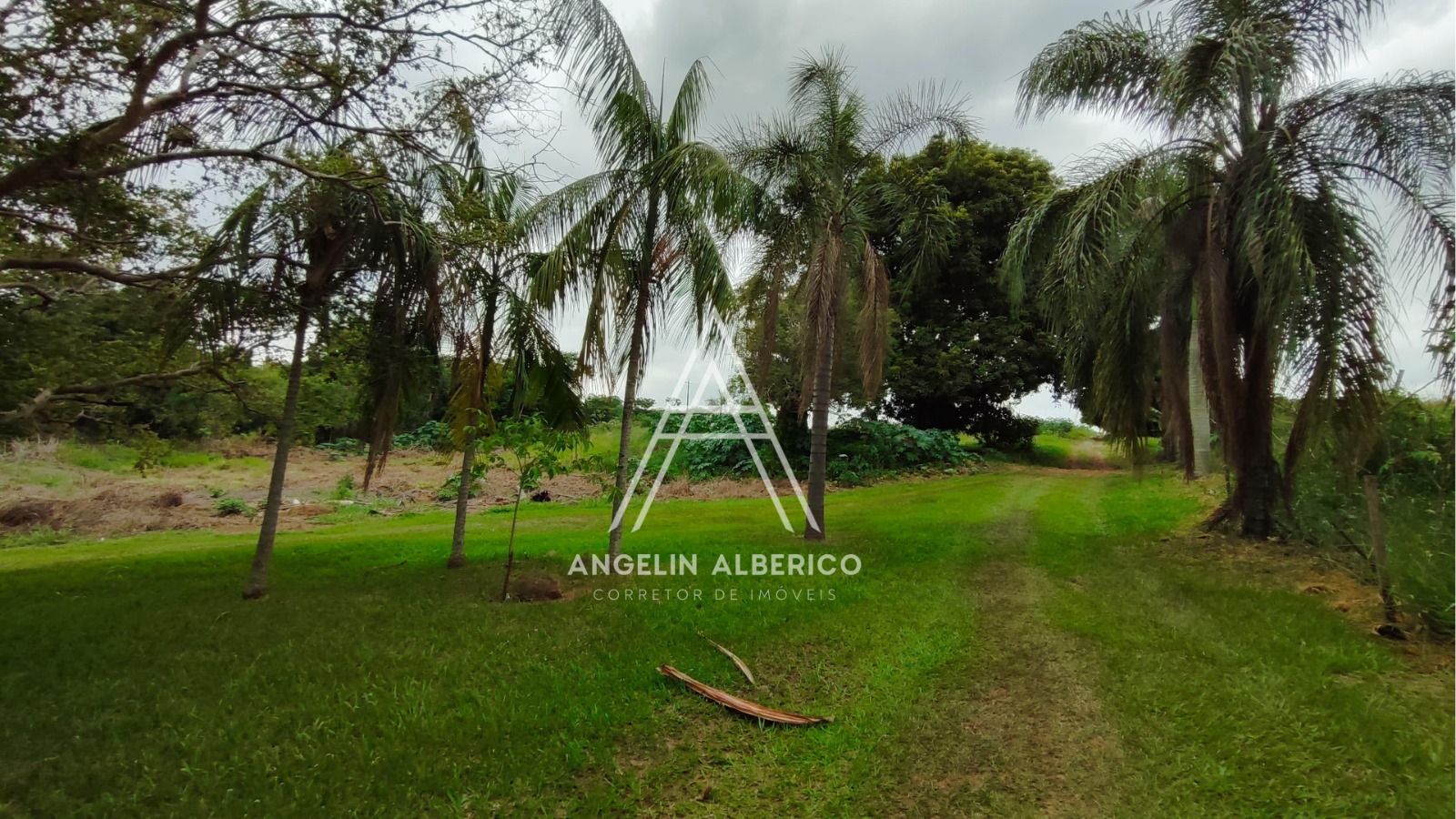 Chácara a Venda em Cianorte-PR