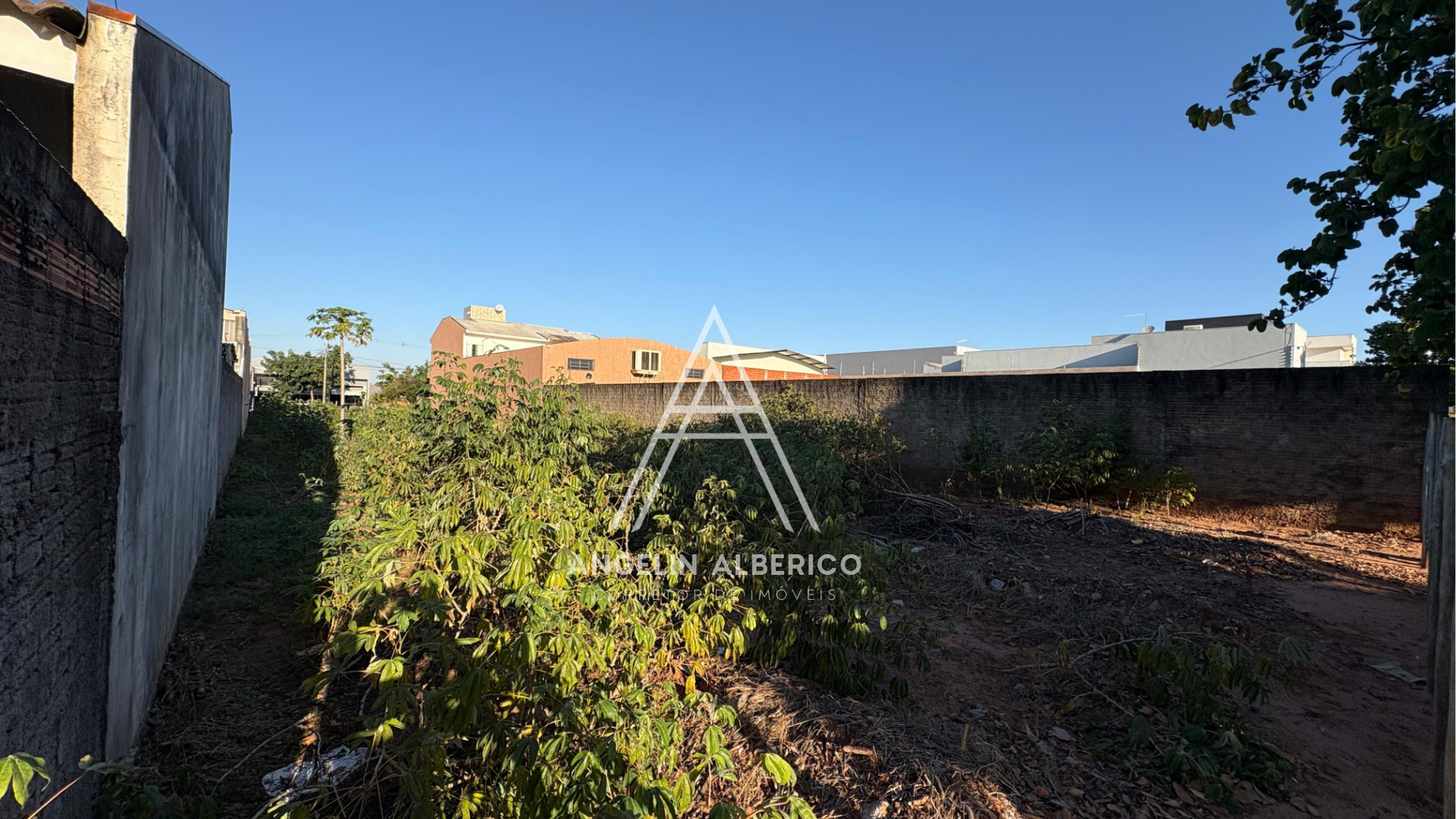 Terreno a Venda no Jardim Nova Itália em Cianorte PR